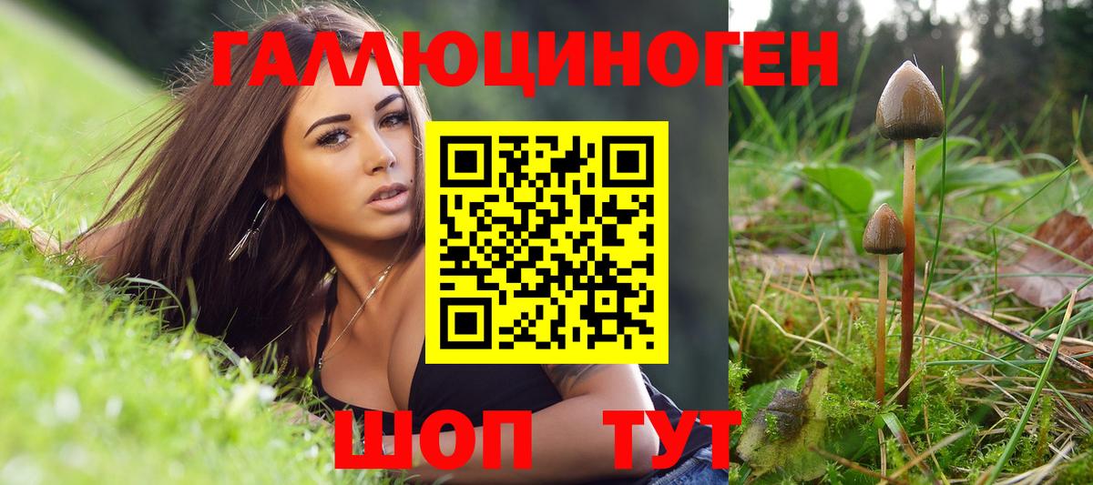 Галлюциногенные грибы Psilocybe Когалым